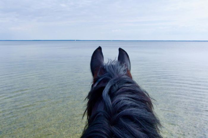 Riding hotel by the lake