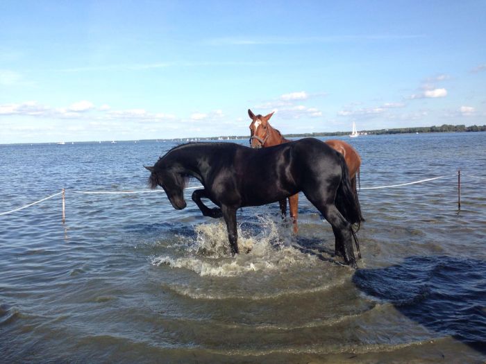 Riding hotel by the lake
