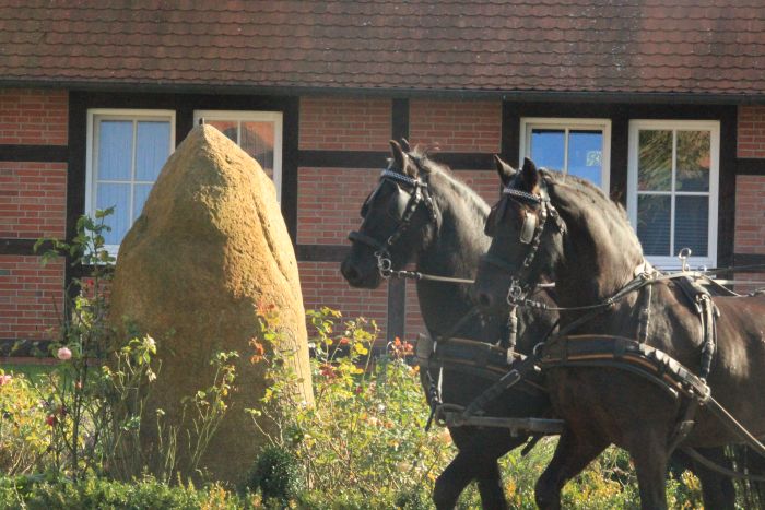 Riding hotel by the lake