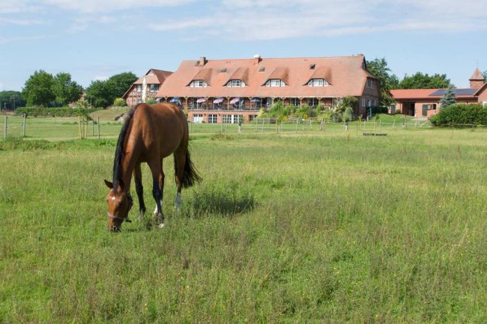 Riding hotel by the lake