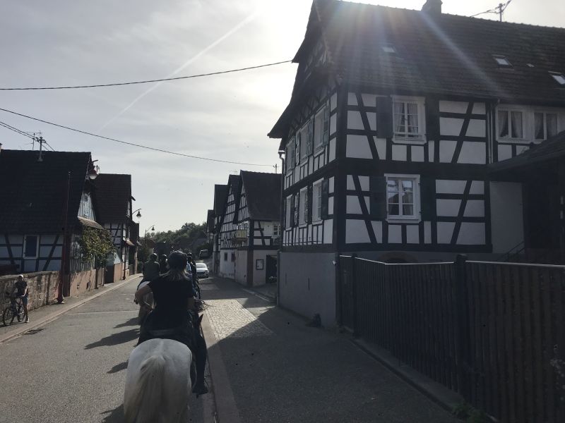 Star rides and trail rides in the Vosges
