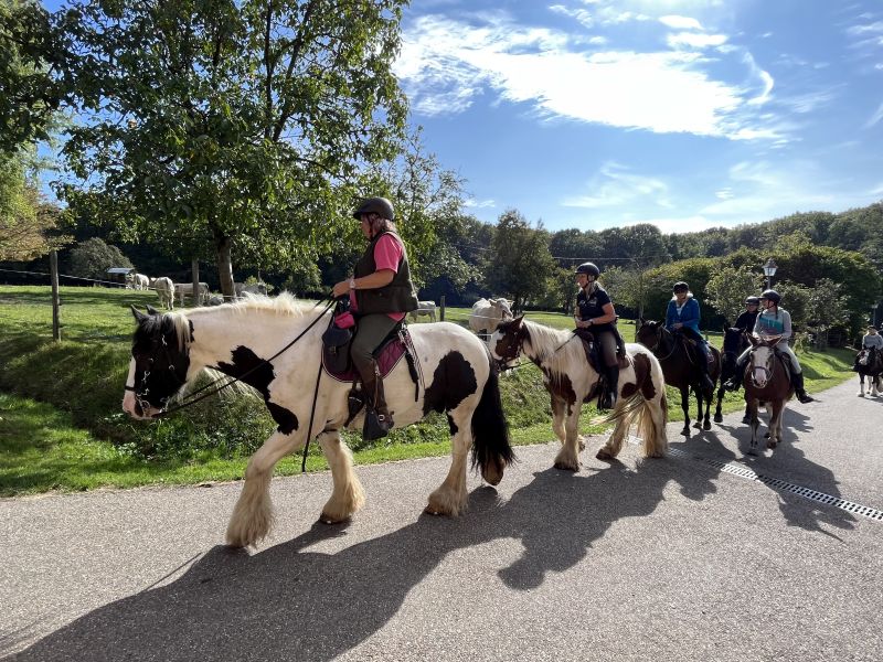 Star rides and trail rides in the Vosges