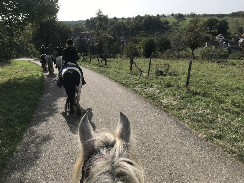 Star rides and trail rides in the Vosges