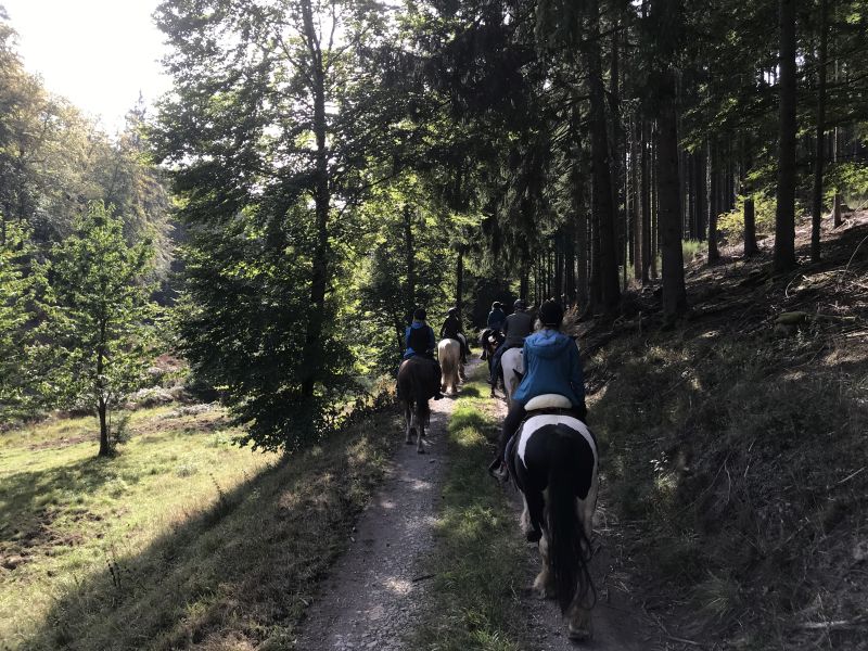 Star rides and trail rides in the Vosges