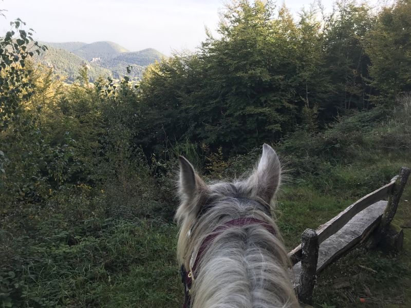 Star rides and trail rides in the Vosges