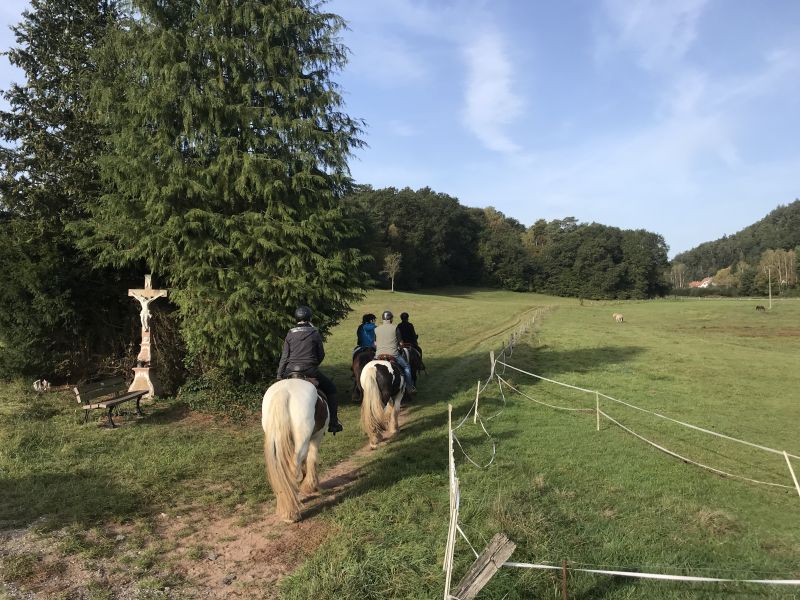Star rides and trail rides in the Vosges