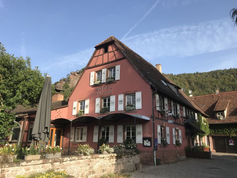 Star rides and trail rides in the Vosges