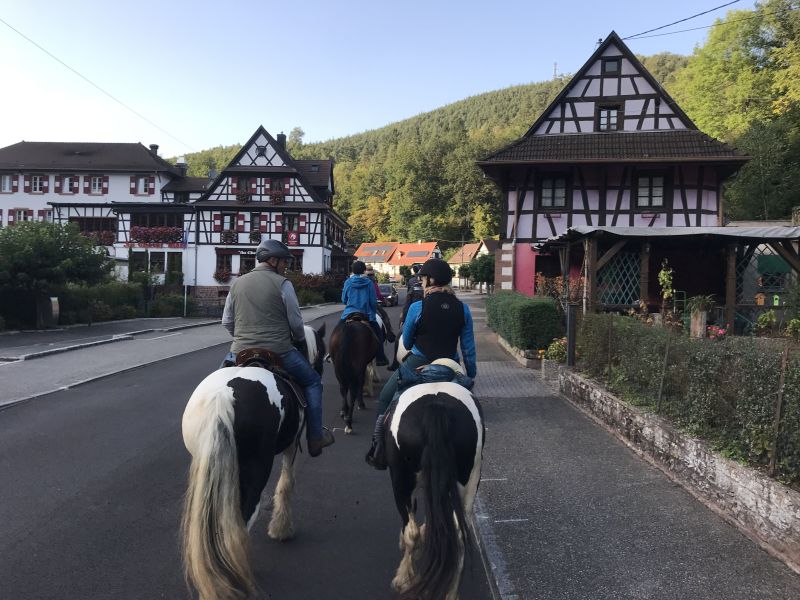 Star rides and trail rides in the Vosges