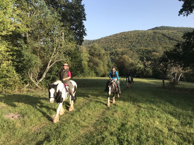 Star rides and trail rides in the Vosges