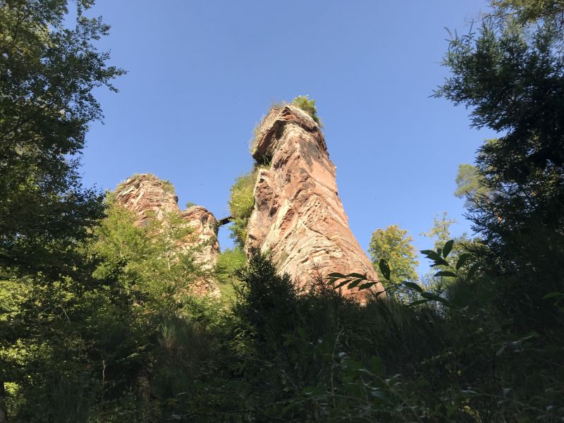 Star rides and trail rides in the Vosges