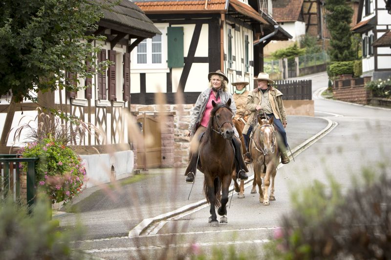 Star rides and trail rides in the Vosges