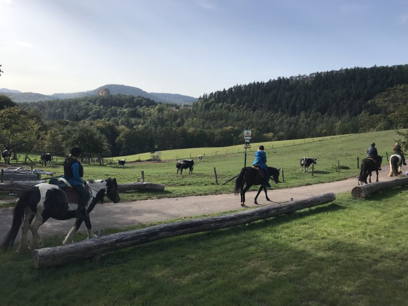 Star rides and trail rides in the Vosges