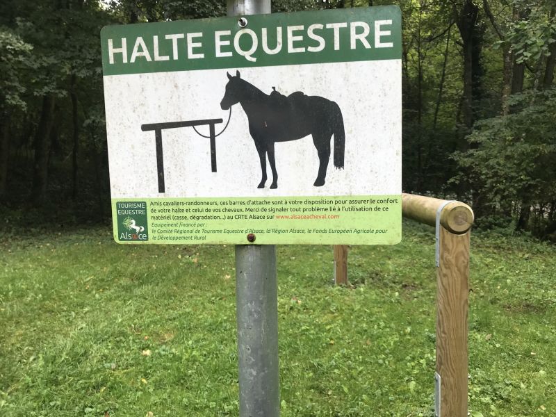 Star rides and trail rides in the Vosges