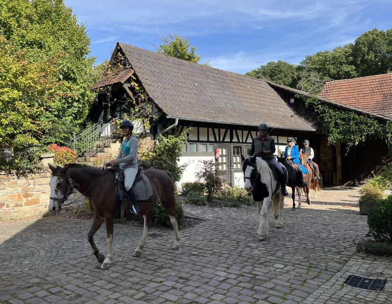 Star rides and trail rides in the Vosges