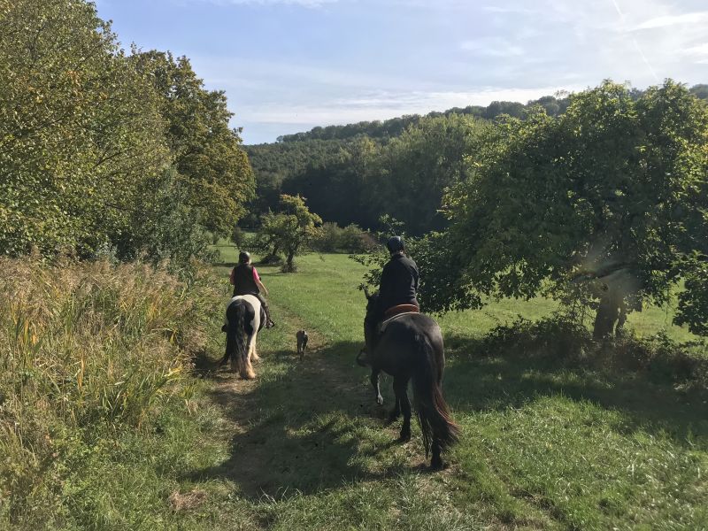 Star rides and trail rides in the Vosges