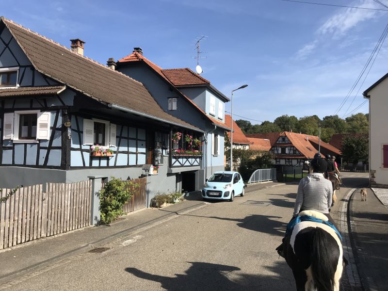 Star rides and trail rides in the Vosges