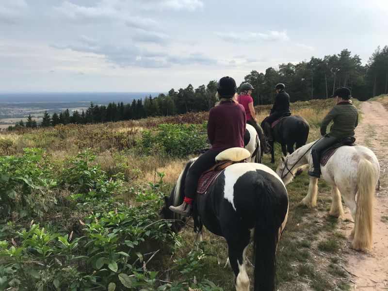 Star rides and trail rides in the Vosges