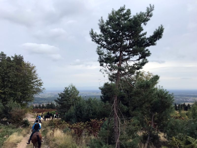 Star rides and trail rides in the Vosges
