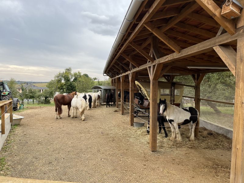 Star rides and trail rides in the Vosges