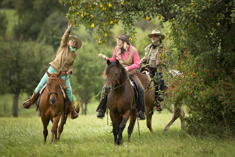Star rides and trail rides in the Vosges