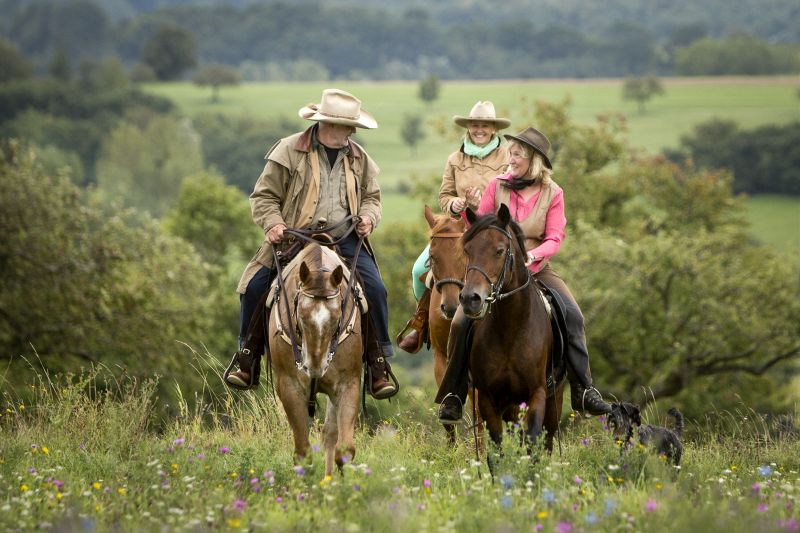 Star rides and trail rides in the Vosges