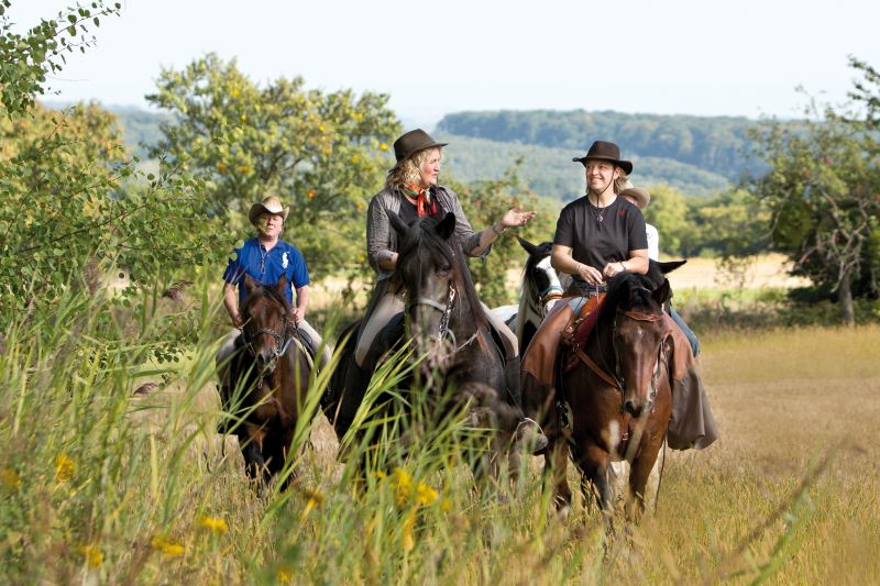 Star rides and trail rides in the Vosges