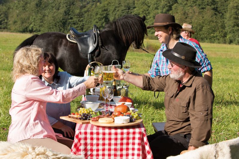 Star rides and trail rides in the Vosges