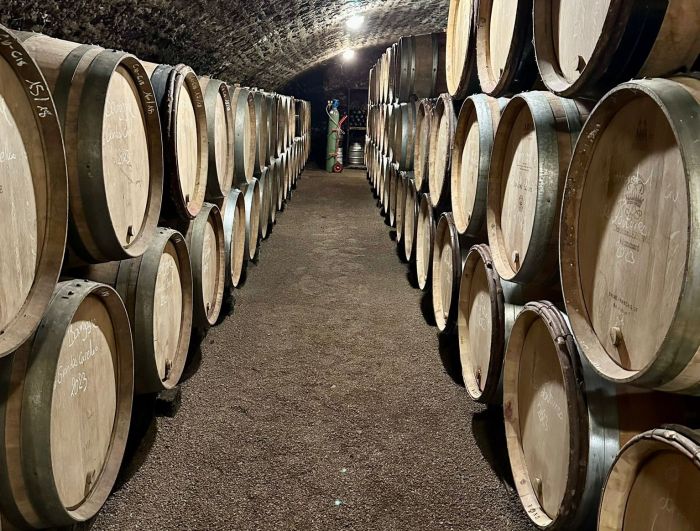 Burgundy vineyards and castles ride