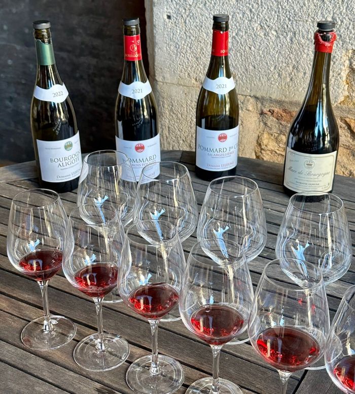 Burgundy vineyards and castles ride