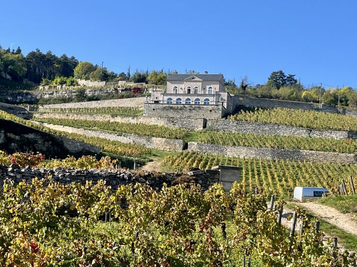 Burgundy vineyards and castles ride