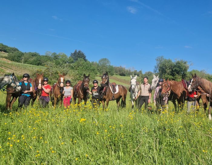 Burgundy vineyards and castles ride