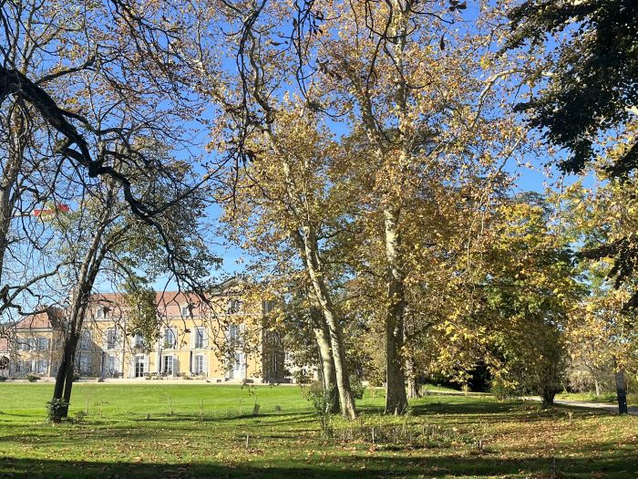 Burgundy vineyards and castles ride