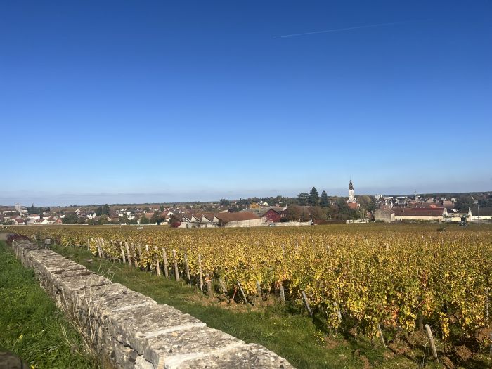 Burgundy vineyards and castles ride