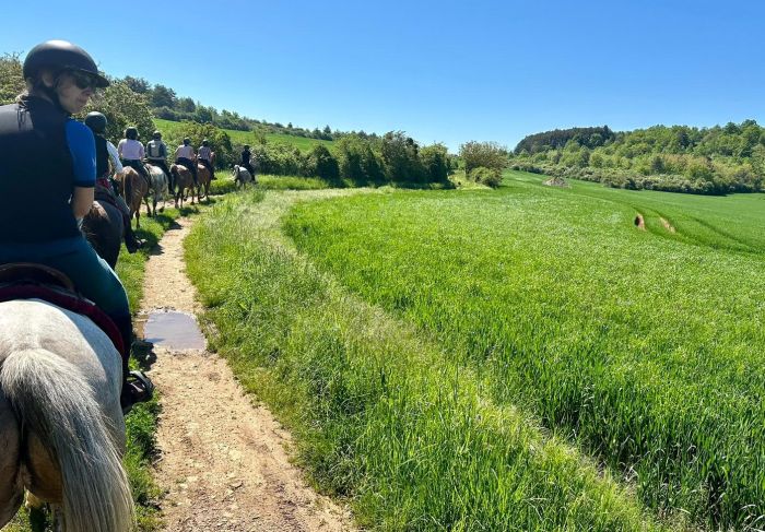 Burgundy vineyards and castles ride