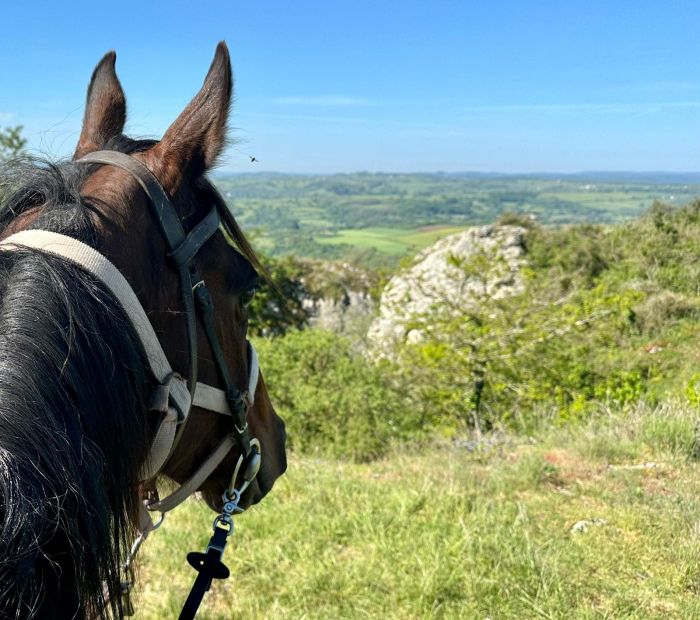 Burgundy vineyards and castles ride