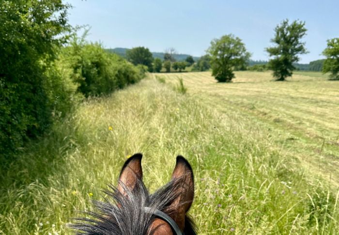 Burgundy vineyards and castles ride