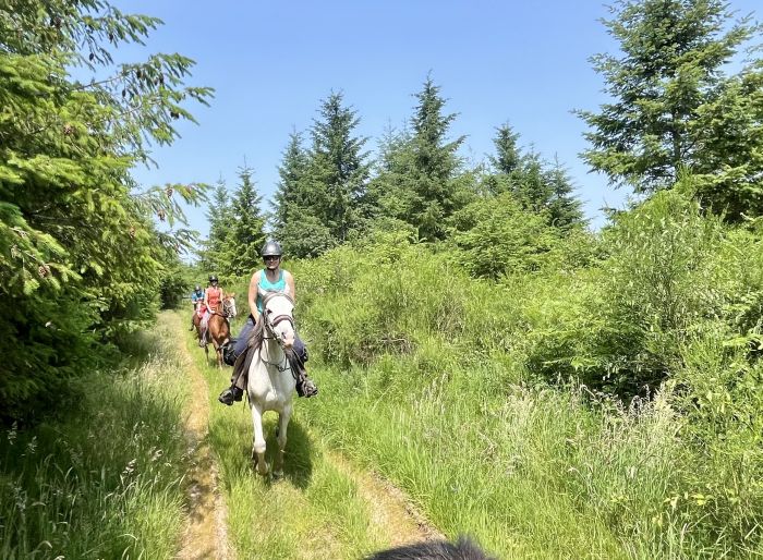 Burgundy vineyards and castles ride