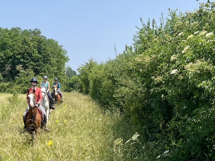 Burgundy vineyards and castles ride