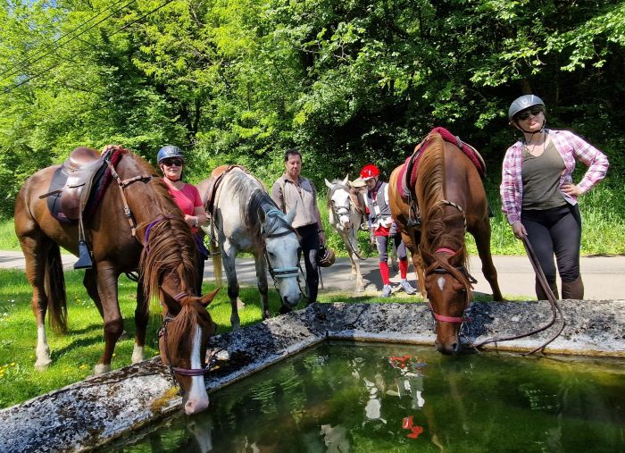 Burgundy vineyards and castles ride