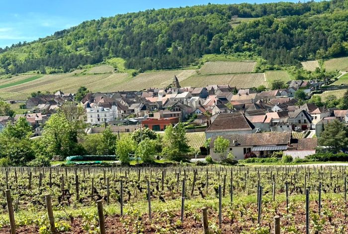 Burgundy vineyards and castles ride