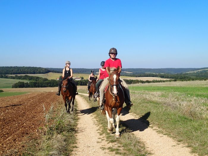Burgundy Nature Park in galopp