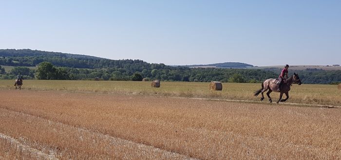 Burgundy Nature Park in galopp