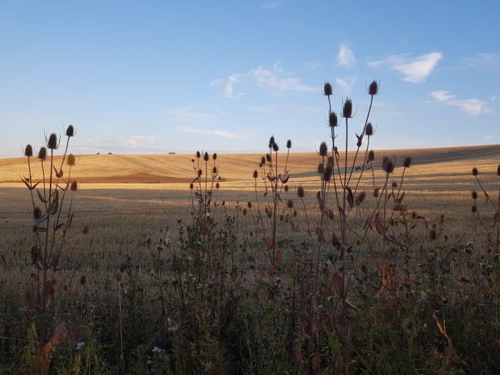 Burgundy Nature Park in galopp
