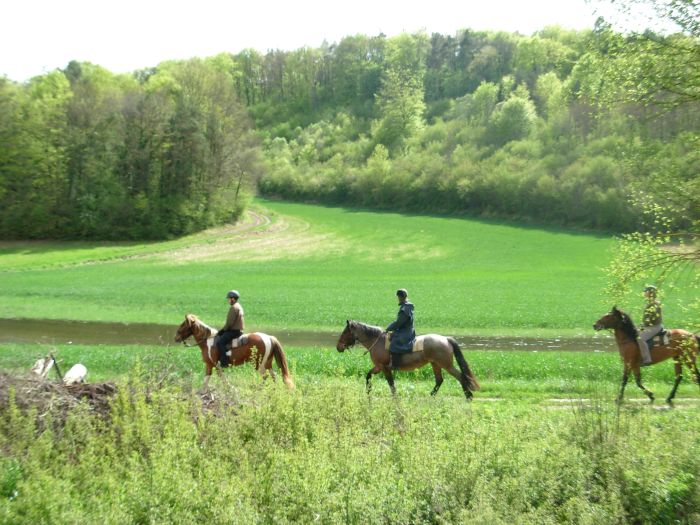 Burgundy Nature Park in galopp