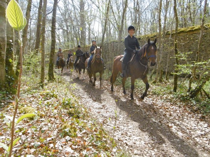 Burgundy Nature Park in galopp