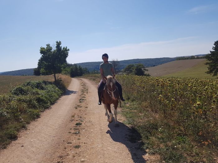 Burgundy Nature Park in galopp