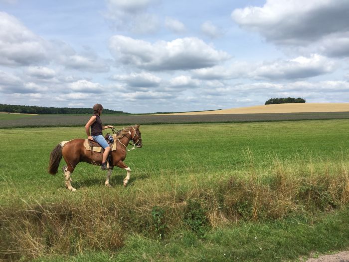 Burgundy Nature Park in galopp