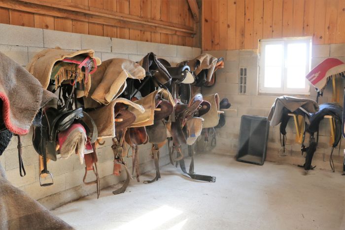 Burgundy Nature Park in galopp