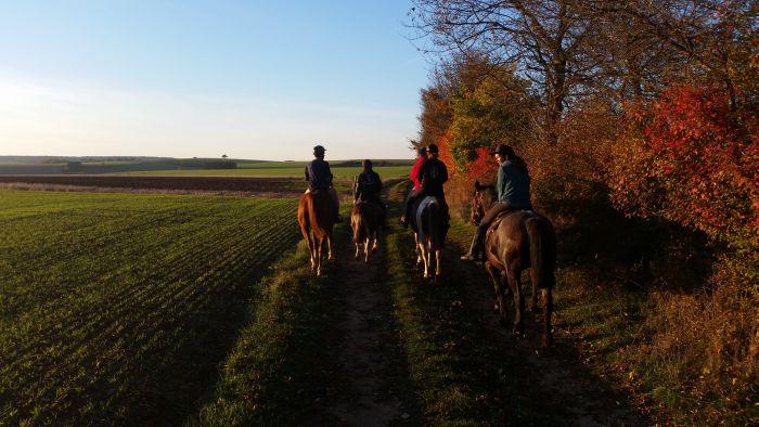 Burgundy Nature Park in galopp