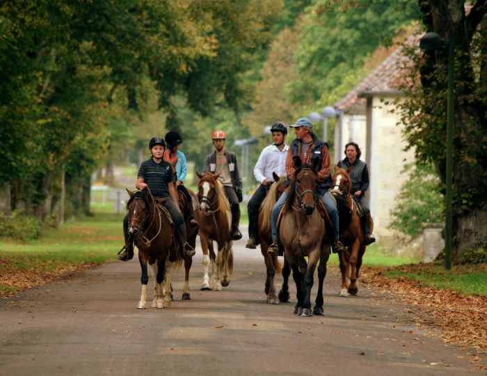 Burgundy Nature Park in galopp